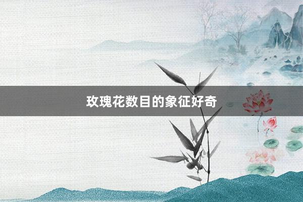 玫瑰花数目的象征好奇