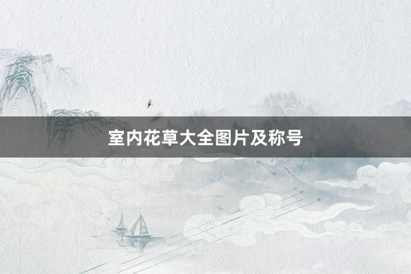 室内花草大全图片及称号