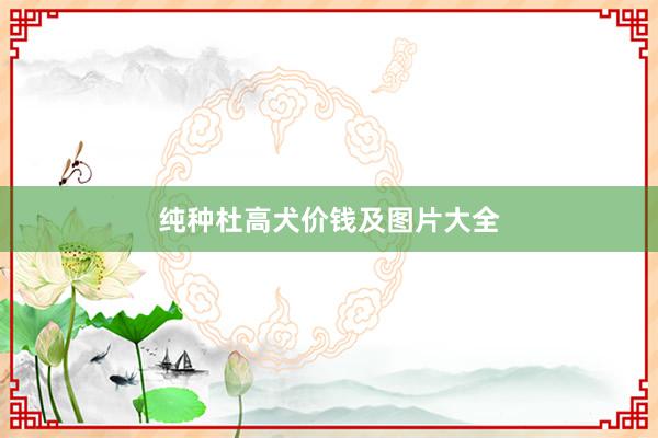 纯种杜高犬价钱及图片大全