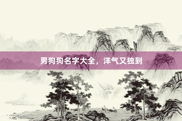 男狗狗名字大全，洋气又独到